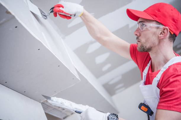 Best Ceiling Drywall Installation  in Hideo, UT